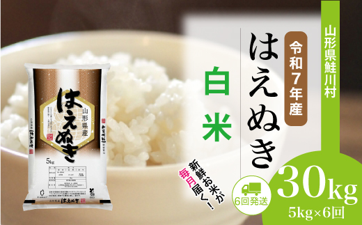 ＜令和7年産米＞はえぬき【白米】30kg定期便 (5kg×6回)