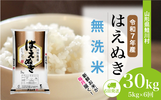 ＜令和7年産米＞はえぬき【無洗米】30kg定期便 (5kg×6回)