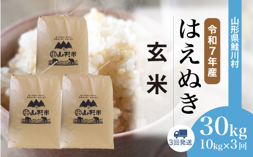 ＜令和7年産米＞はえぬき【玄米】30kg 定期便 (10kg×3回)