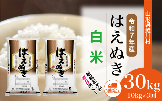 ＜令和7年産米＞はえぬき【白米】30kg定期便 (10kg×3回)