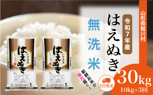 ＜令和7年産米＞はえぬき【無洗米】30kg定期便 (10kg×3回)