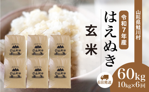 ＜令和7年産米＞はえぬき【玄米】60kg定期便(10kg×6回)