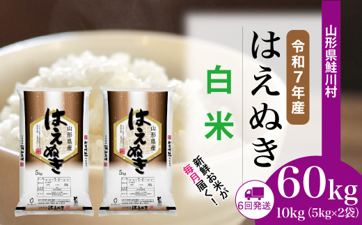 ＜令和7年産米＞はえぬき【白米】60kg定期便(10kg×6回)