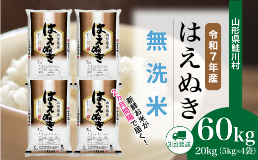 ＜令和7年産米＞はえぬき【無洗米】60kg定期便(20kg×3回)