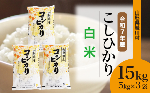 ＜令和7年産米＞こしひかり 【白米】 15kg （5kg×3袋）