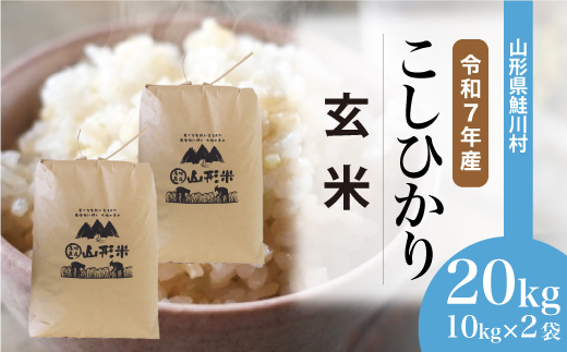 ＜令和7年産米＞こしひかり 【玄米】 20kg （10kg×2袋）