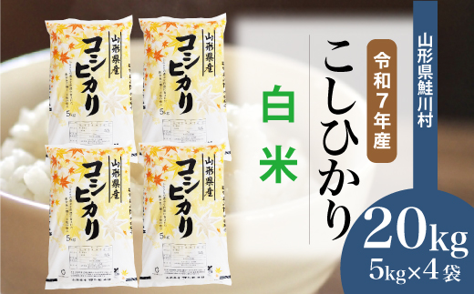 ＜令和7年産米＞こしひかり 【白米】 20kg （5kg×4袋）