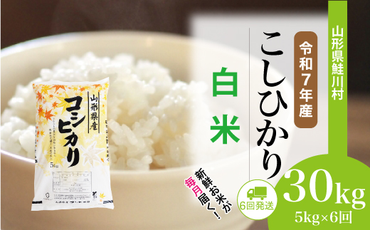 ＜令和7年産米＞こしひかり【白米】30kg定期便 (5kg×6回)
