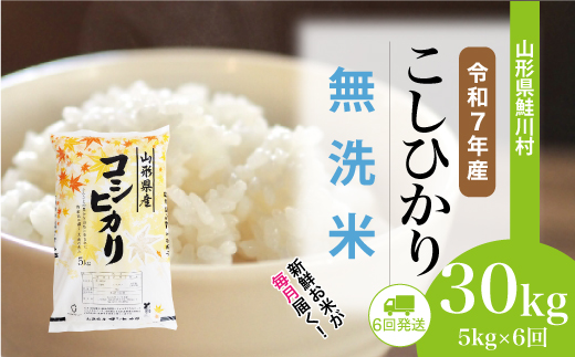 ＜令和7年産米＞こしひかり【無洗米】30kg定期便 (5kg×6回)