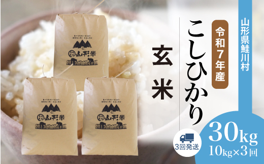 ＜令和7年産米＞こしひかり【玄米】30kg 定期便 (10kg×3回)
