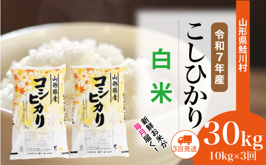 ＜令和7年産米＞こしひかり【白米】30kg定期便 (10kg×3回)
