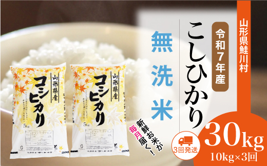 ＜令和7年産米＞こしひかり【無洗米】30kg定期便 (10kg×3回)
