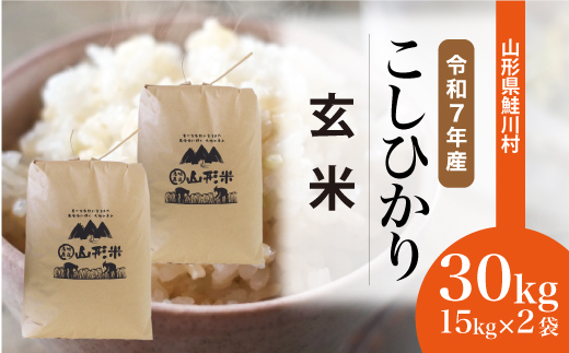 ＜令和7年産米＞こしひかり 【玄米】 30kg （15kg×2袋） 沖縄県・離島配送不可