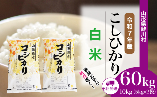 ＜令和7年産米＞こしひかり【白米】60kg定期便(10kg×6回)