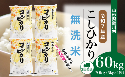 ＜令和7年産米＞こしひかり【無洗米】60kg定期便(20kg×3回)