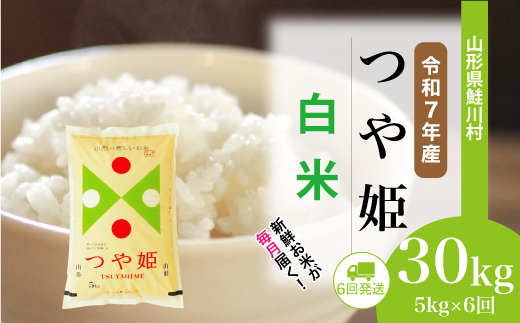 ＜令和7年産米＞特別栽培米 つや姫【白米】30kg定期便 (5kg×6回)