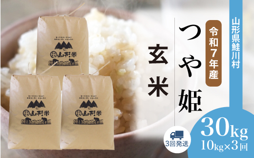 ＜令和7年産米＞特別栽培米 つや姫【玄米】30kg 定期便 (10kg×3回)