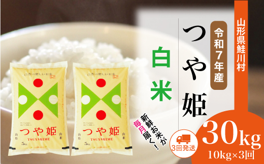 ＜令和7年産米＞特別栽培米 つや姫【白米】30kg定期便 (10kg×3回)