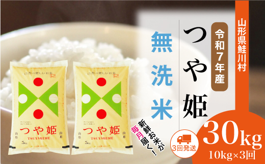 ＜令和7年産米＞特別栽培米 つや姫【無洗米】30kg定期便 (10kg×3回)