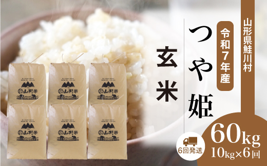 ＜令和7年産米＞特別栽培米 つや姫【玄米】60kg定期便(10kg×6回)