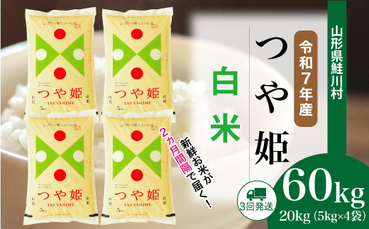 ＜令和7年産米＞特別栽培米 つや姫【白米】60kg定期便(20kg×3回)