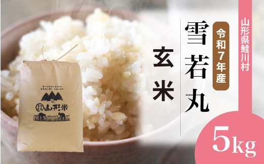 ＜令和7年産米＞雪若丸 【玄米】 5kg （5kg×1袋）