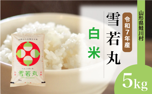 ＜令和7年産米＞雪若丸 【白米】 5kg （5kg×1袋）