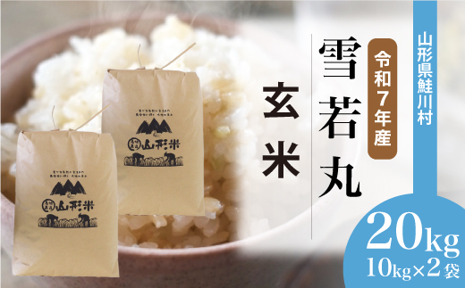 ＜令和7年産米＞雪若丸 【玄米】 20kg （10kg×2袋）