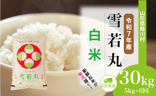 ＜令和7年産米＞雪若丸【白米】30kg定期便 (5kg×6回)