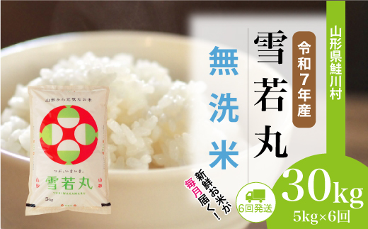 ＜令和7年産米＞雪若丸【無洗米】30kg定期便 (5kg×6回)