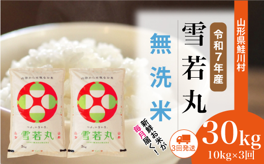 ＜令和7年産米＞雪若丸【無洗米】30kg定期便 (10kg×3回)