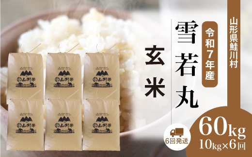 ＜令和7年産米＞雪若丸【玄米】60kg定期便(10kg×6回)