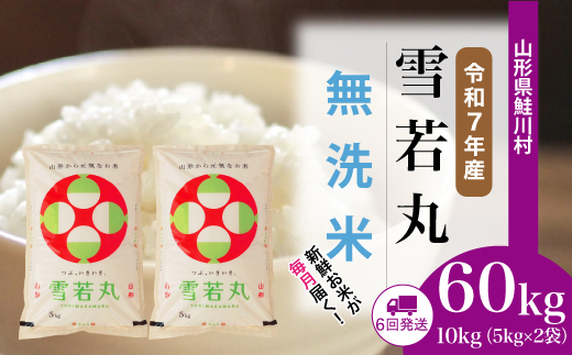 ＜令和7年産米＞雪若丸【無洗米】60kg定期便(10kg×6回)