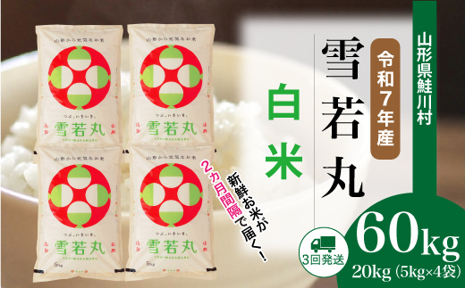 ＜令和7年産米＞雪若丸【白米】60kg定期便(20kg×3回)